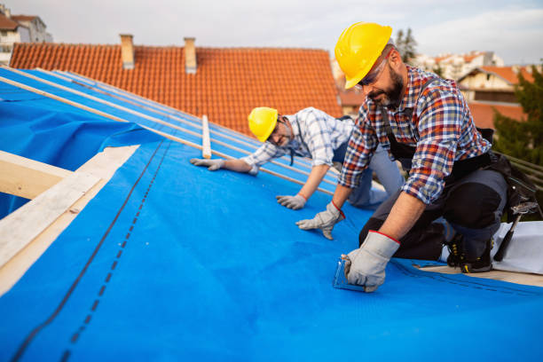 Best Roof Gutter Cleaning  in Prague, OK